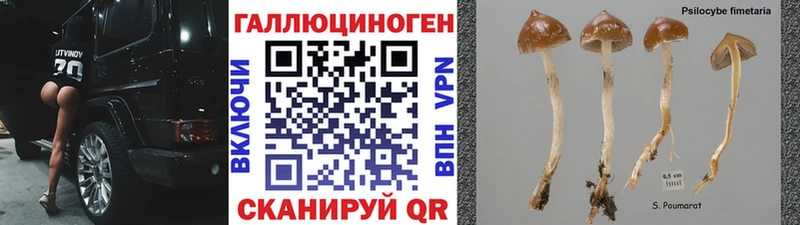 Псилоцибиновые грибы Magic Shrooms  где купить наркоту  Ермолино 